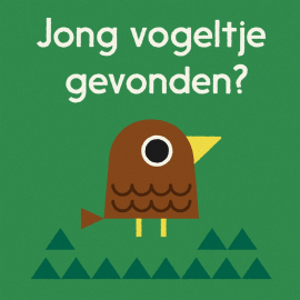 Birdnerd NL